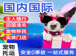 牡丹江海浪航空快递国际宠物托运 【国